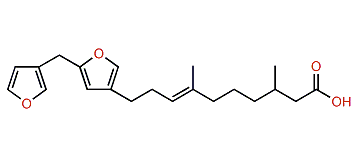 Ircinin 3